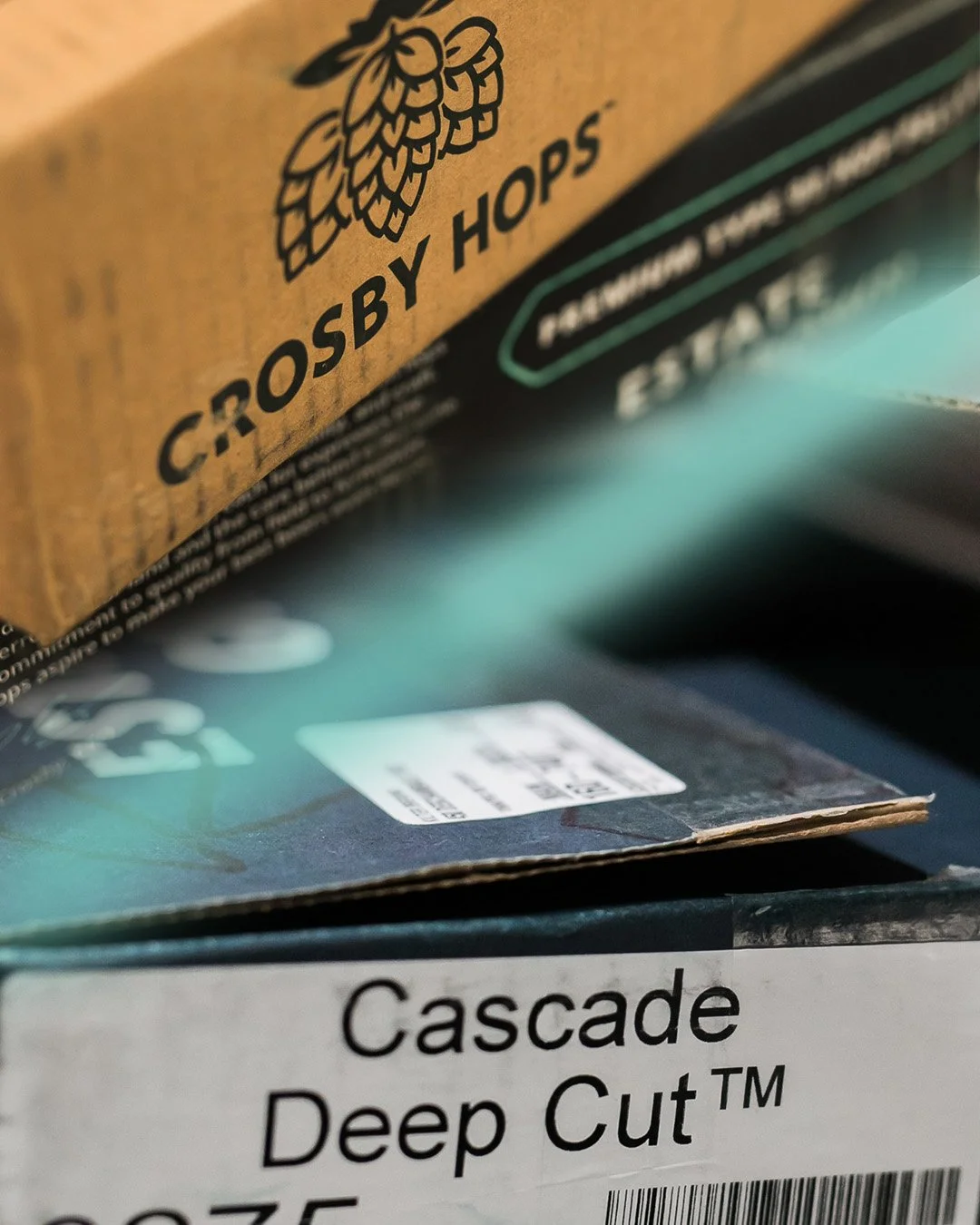 Oregon Homegrown 2026 highlights “Deep Cut” Cascade Hops — New